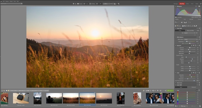 Golden hour landscape with wildflowers silhouetted against a sunset over forested mountains.
