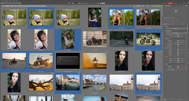 Screenshot of photo management software displaying a grid of edited images with blue selection overlays.