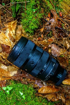 Blue camera lens lying on forest floor surrounded by fallen leaves and green moss.