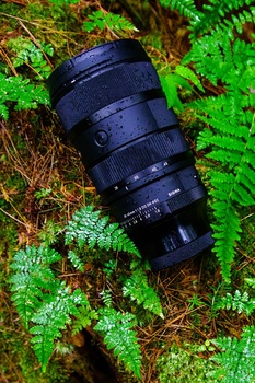 Black telephoto lens surrounded by vibrant green moss and ferns in natural woodland setting.