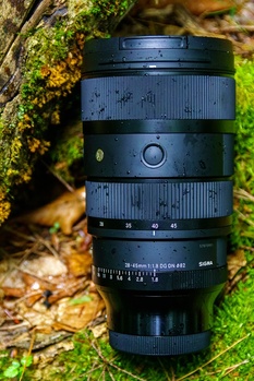 Black telephoto lens with focus ring and depth-of-field scale positioned on moss-covered ground.