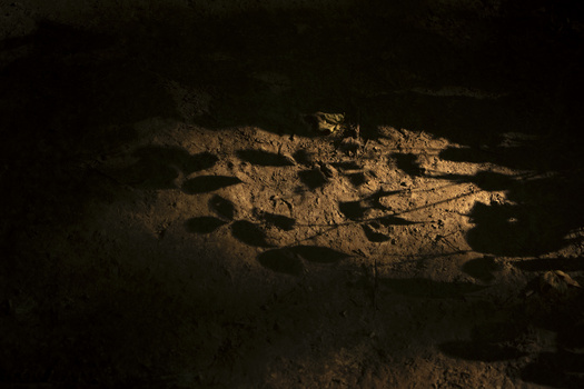 Sandy ground surface lit by warm, directional light creating strong shadows and texture detail.