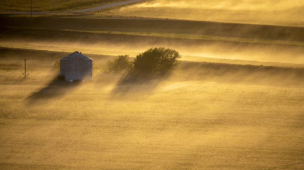 Grain silo and tree shrouded in golden dust clouds across a harvested field at sunrise or sunset.