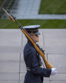 Military honor guard in dress uniform holding rifle at shoulder arms position.