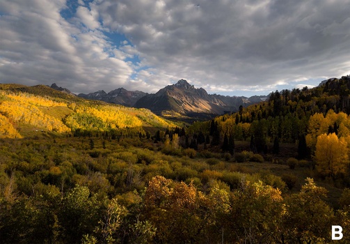 Mountain landscape with golden aspen trees in foreground and evergreen forest under dramatic cloudy sky.