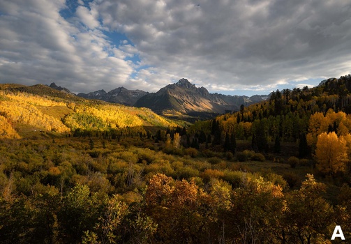 Golden aspen trees blanket a mountainous valley under dramatic cloudy skies.