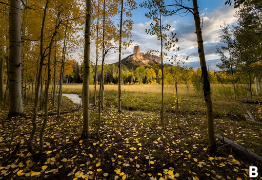 Autumn aspen forest with fallen golden leaves framing a distant castle ruin on a hillside.
