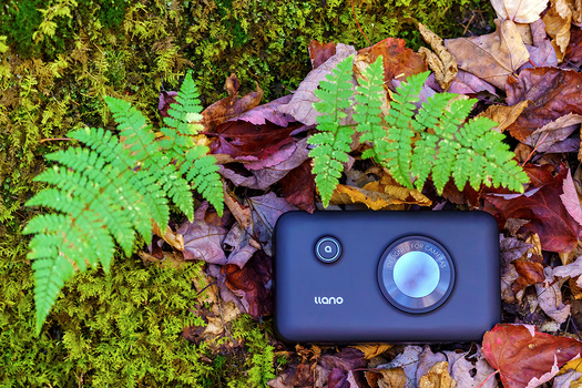 Compact camera with large lens on forest floor surrounded by moss, ferns, and autumn leaves.