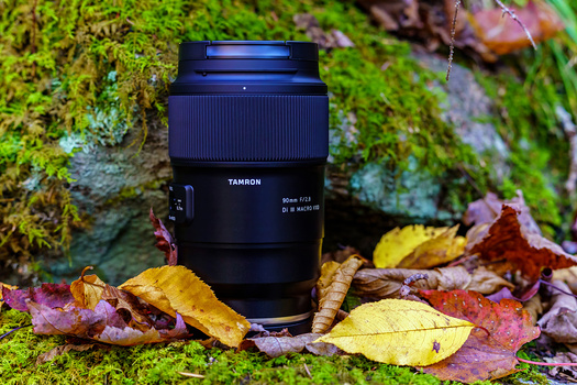 Tamron macro lens surrounded by moss, fallen leaves, and autumn foliage on forest ground.