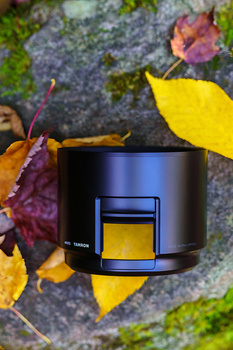 Black smart home device with yellow window display surrounded by autumn leaves on stone surface.