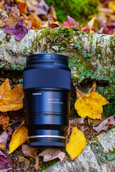 Blue telephoto lens positioned on a moss-covered rock surrounded by fallen autumn leaves.