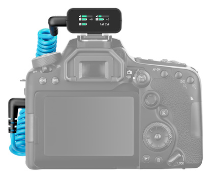 Camera rig with blue shock mount arm and small external monitor mounted on top.