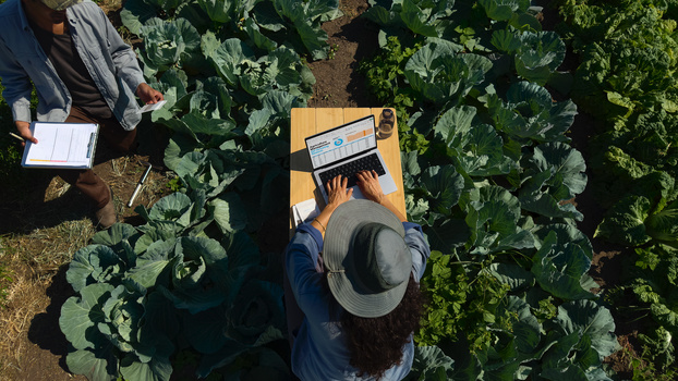 Overhead view of two people collaborating in a vegetable garden, one typing on a laptop while the other takes notes.