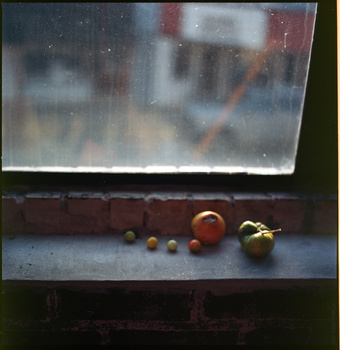 Spherical objects arranged on a ledge below a rain-streaked window with blurred background.