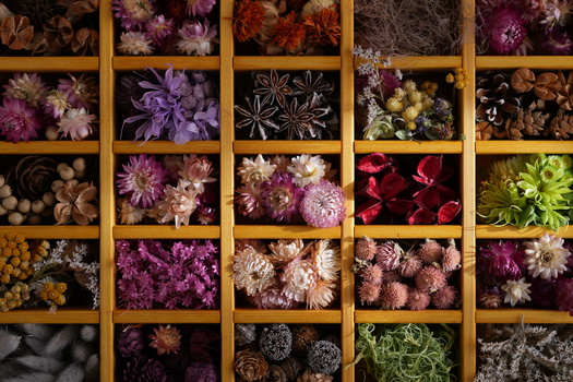 Wooden shelving unit displaying dried flowers and botanical specimens in various purple, pink, brown, and green tones.