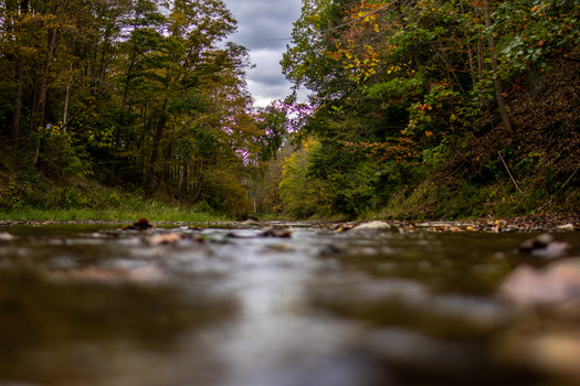 A flowing river with smooth water in the foreground, bordered by dense autumn forest on both banks.