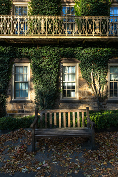 Ivy-covered building facade with wooden bench beneath tall windows and decorative metal railing above.
