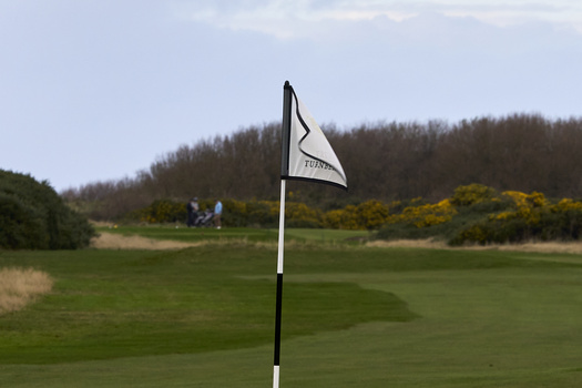 Golf course flag marker on putting green with spectators and wooded landscape in background.