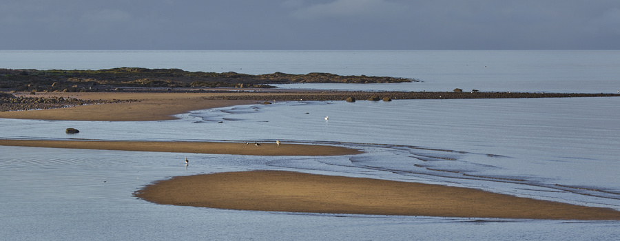 Tidal mudflats and shallow waters with exposed sandbars under overcast sky.