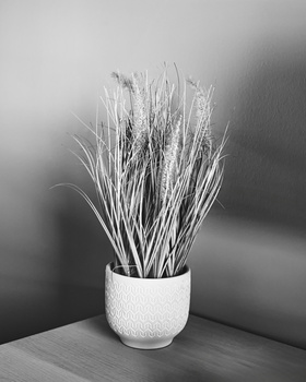 Dried ornamental grasses in a white textured ceramic vase against a neutral gradient background.