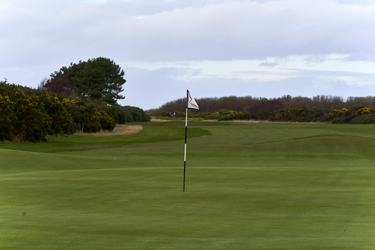 Golf course putting green with flag marker on manicured fairway surrounded by trees.