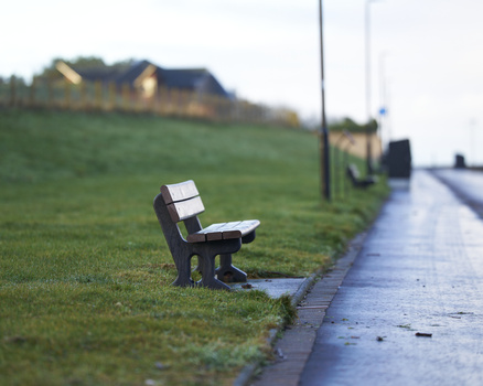 Wooden bench on wet grass beside a paved road in overcast countryside.