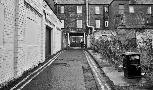 Narrow urban alleyway between white and dark brick buildings with a trash bin and overgrown vegetation.