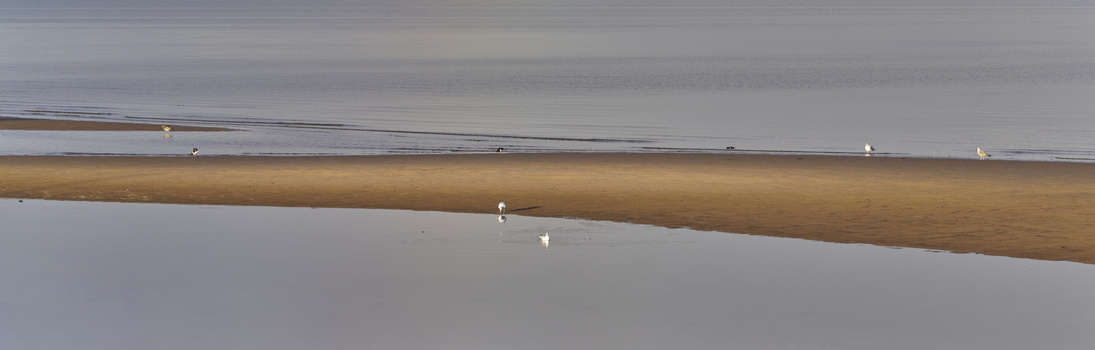Minimalist coastal landscape with a driftwood log dividing calm water and sandy beach under overcast sky.