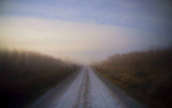 Straight rural road stretching toward the horizon through bare winter trees in soft focus.