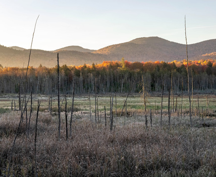 Frost-covered meadow with dead tree snags and forested mountains at golden hour.
