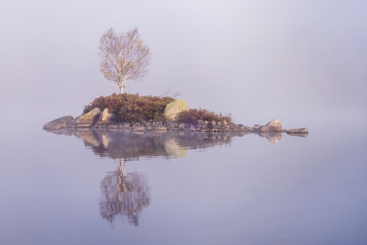 Small rocky island with a bare tree reflected in still water at dawn or dusk.