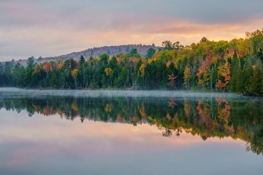 Forested shoreline reflected in still water at sunrise or sunset, with autumn foliage in golden and orange tones.