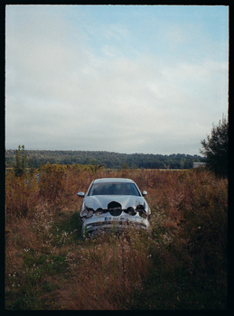 Abandoned white car surrounded by dried brown vegetation in an overgrown field.