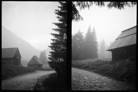 Misty mountain valley with traditional wooden houses and tall evergreen trees framing a stream.