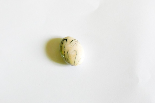 Single dried seed pod or husk on white background with soft shadow.