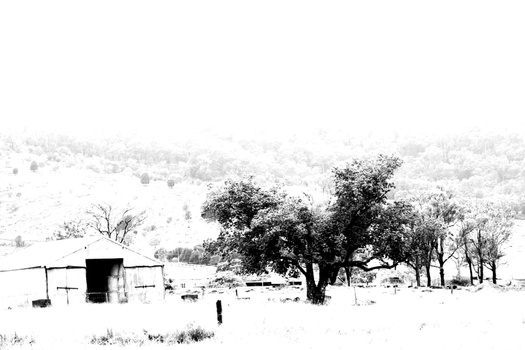 Black and white landscape with ranch buildings, bare trees, and rolling hills under overcast sky.