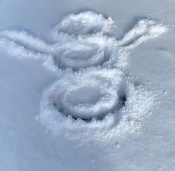 Spiral pattern created in fresh snow, forming concentric rings from above.