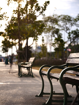 Park benches in sharp foreground with blurred trees and pathways receding into soft background light.