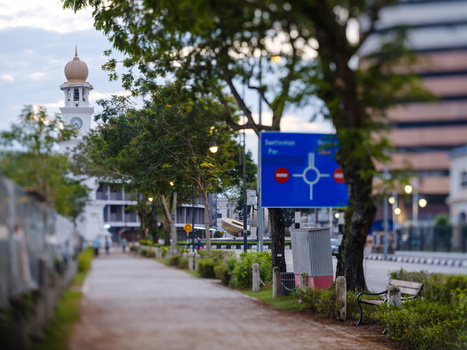Tree-lined urban pathway with directional sign and ornate dome building in background.