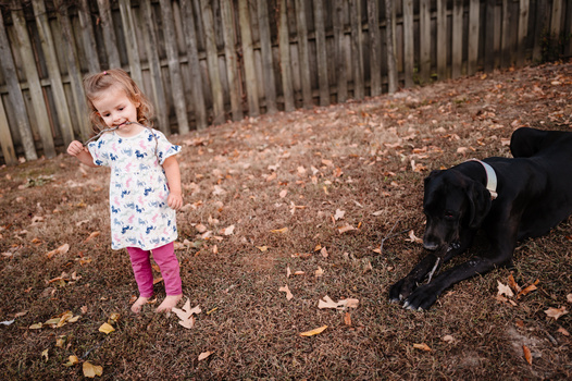 Toddler in floral dress and pink leggings standing in dirt yard near black dog and wooden fence.
