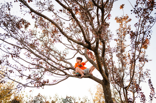 Child in orange shirt perched on a bare tree branch amid autumn foliage.