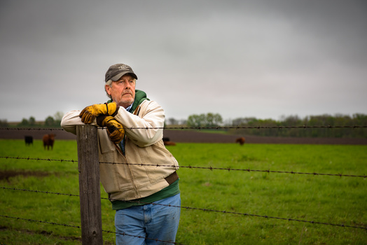 Farmer in work clothes leaning against fence post with cattle visible in distant pasture.