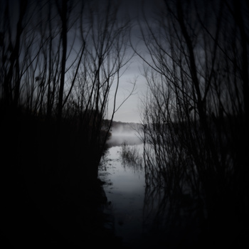 Bare tree branches frame a misty waterway in silhouette against an overcast sky.