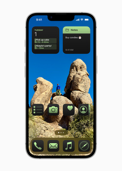 Screenshot of smartphone home screen displaying wildlife photography of two owls perched on rocks against blue sky.