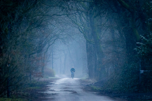 Solitary figure walking down a tree-lined path in heavy mist and rain.