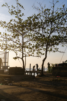 Silhouetted trees and figures against golden hour sky in an urban setting.