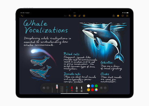 Digital illustration of whale vocalizations with anatomical diagrams and handwritten annotations on a dark background.
