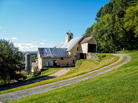 Yellow farmhouse with metal roof and stone chimney nestled against forested hillside with gravel driveway.