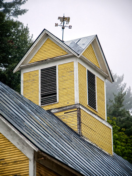 Yellow wooden cupola with black shutters sits atop a metal-roofed structure surrounded by green trees.