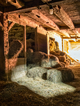 Golden sunlight streams through a wooden barn doorway, illuminating stacked hay bales on the floor.